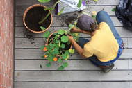 Industry Insight, Container Gardening: The First Steps