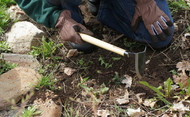 Japanese Garden Tools Vs. American: What’s the Difference? 