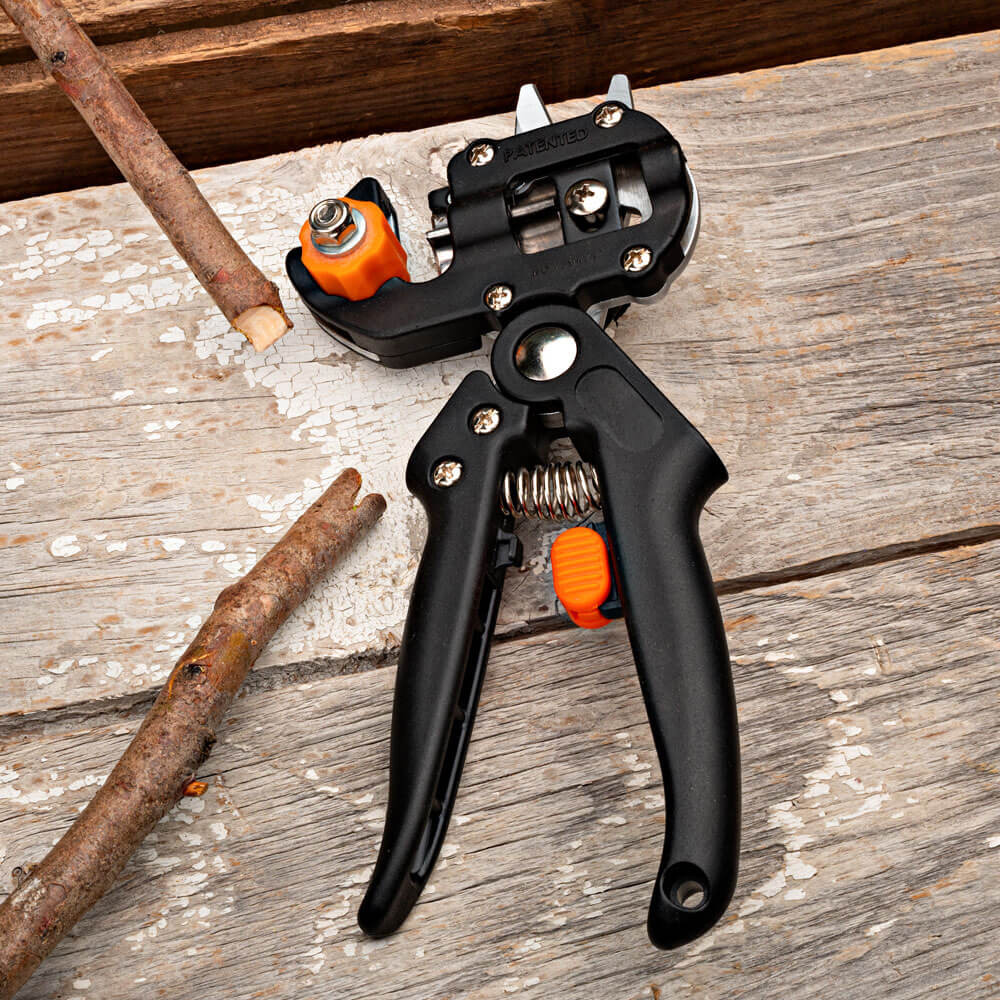Grafting and Pruning Tool