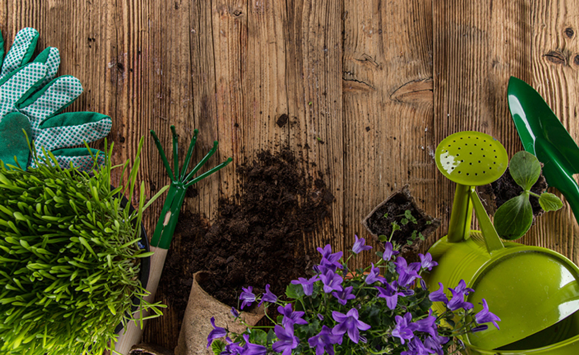 Grampa's Weeding Tool Is A Nostalgic, Ouiser Boudreaux-Approved Must-Have