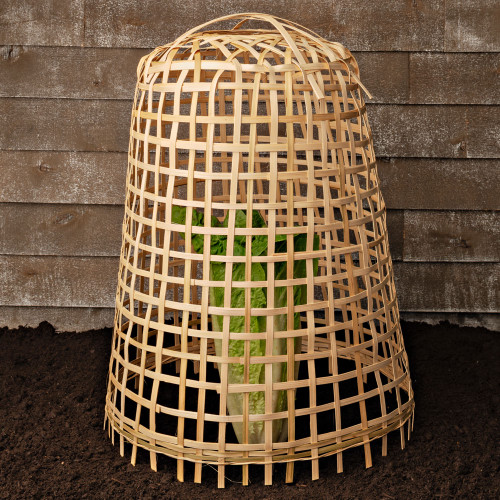 Woven Bamboo Garden Cloche