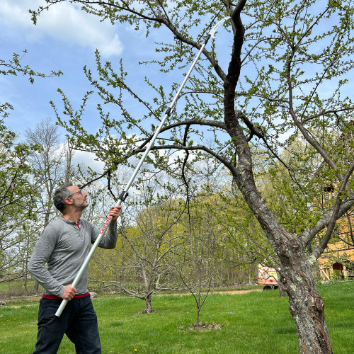 10 foot pole saw