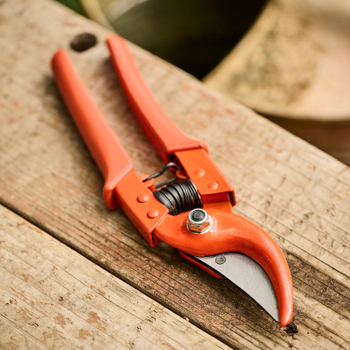 Classic OldWorld Pruners from Spain