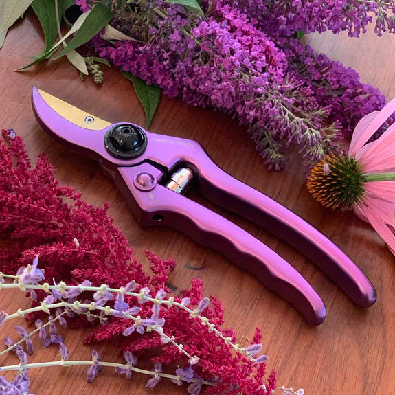 Purple Pruner & Sheath