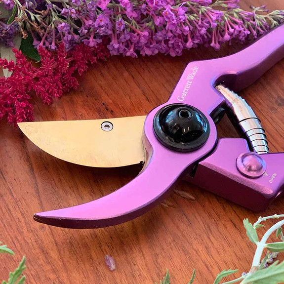 Ultra-Sharp Colorful Pruners