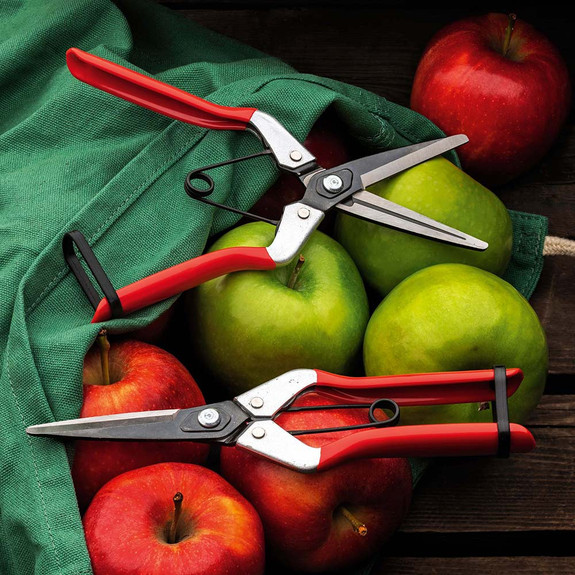 Spring-Loaded Long-Nose Fruit Scissor