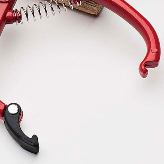 Small Bypass Pruner