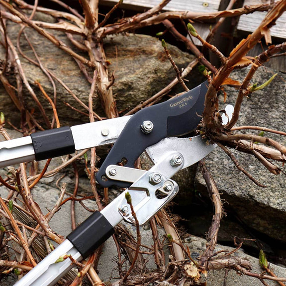 Premium Ratcheting Pruning Loppers