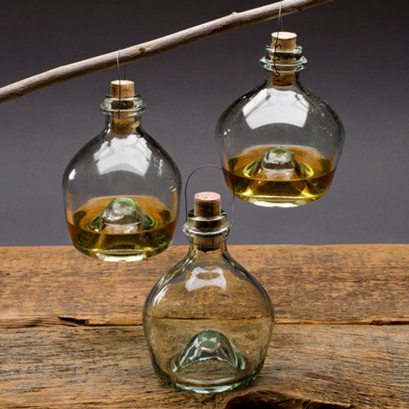 Glass wasp traps