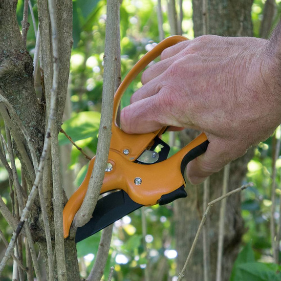 Ratcheting Hand Pruner