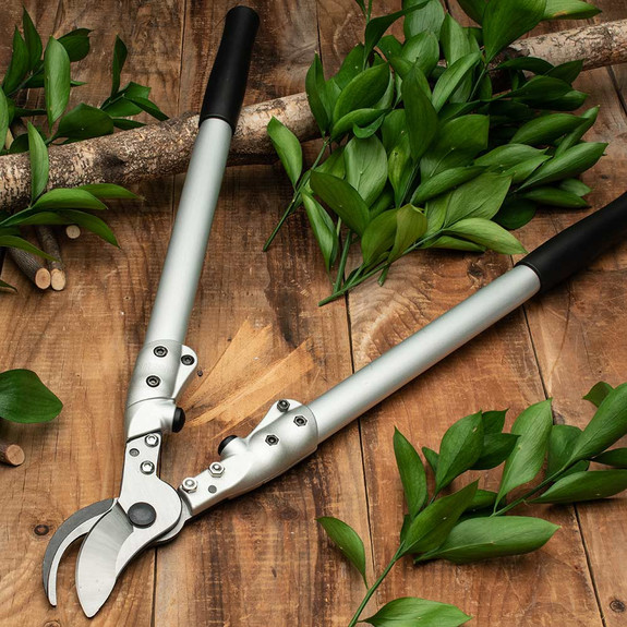 Everyday Complete Pruning Set - Forged Steel Bypass Loppers