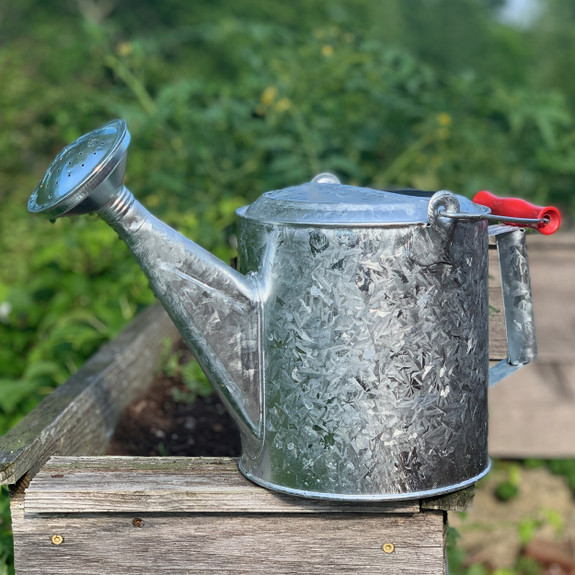 Galvanized Watering Can with Wooden Handle