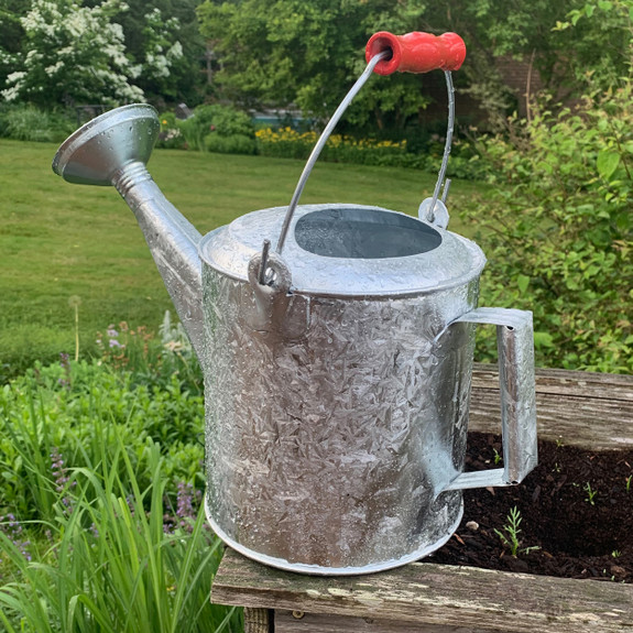 Galvanized Watering Can with Wooden Handle