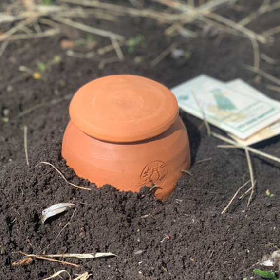 Medium Teardrop-Shaped Terracotta Container Plant Hydrator