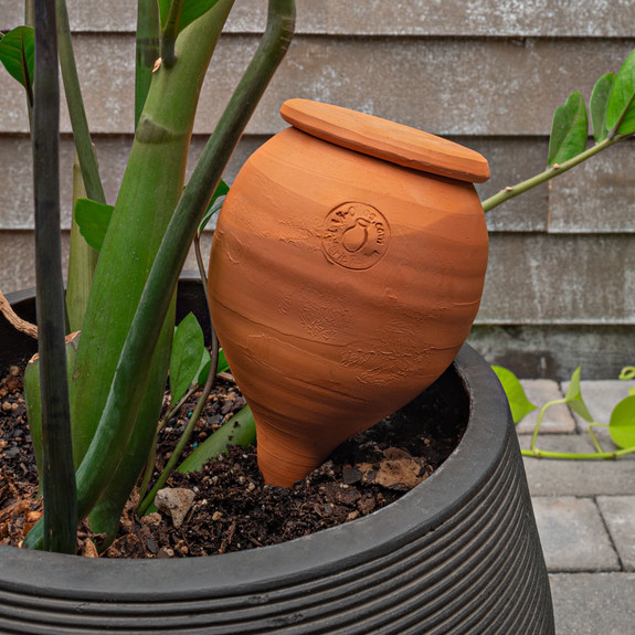 Teardrop-Shaped Terracotta Container Plant Hydrator
