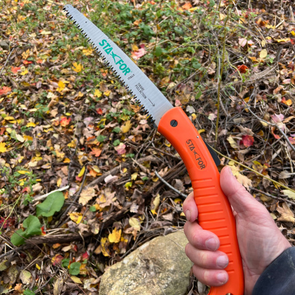 Holding pruning saw