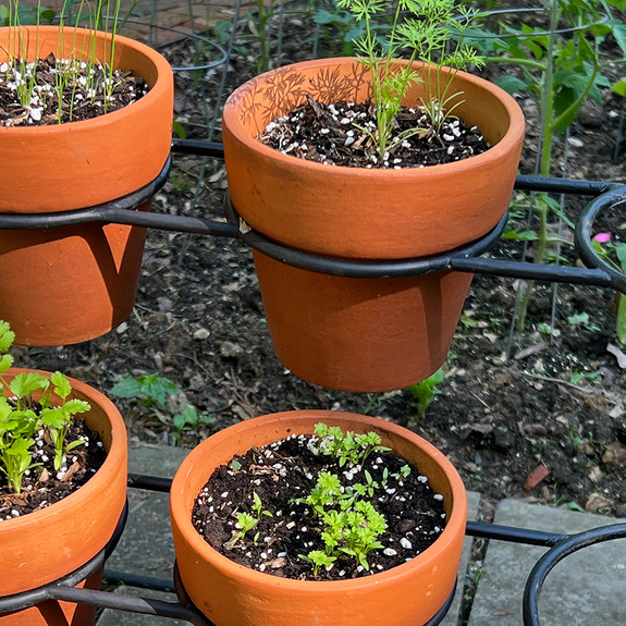 Plant stand for terracotta pots