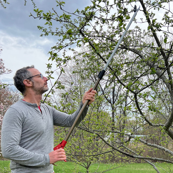 Long Reach Pruner (Extends to 1.5 meters)