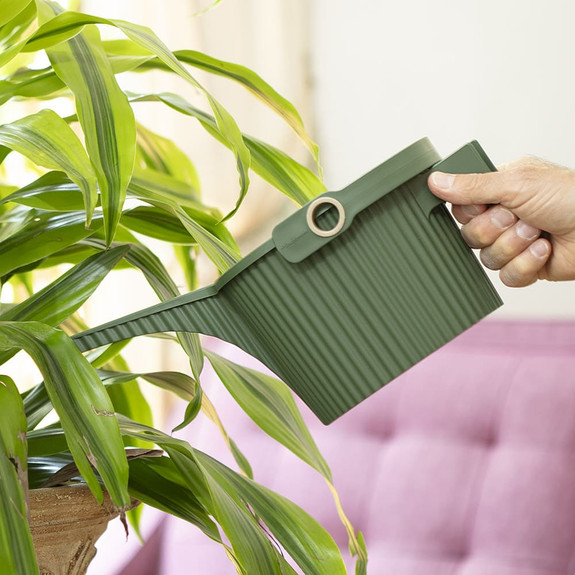 Modern Japanese Indoor Watering Can - 1.5 Liters