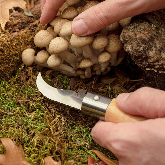 Mushroom Folding Knife with Sheath