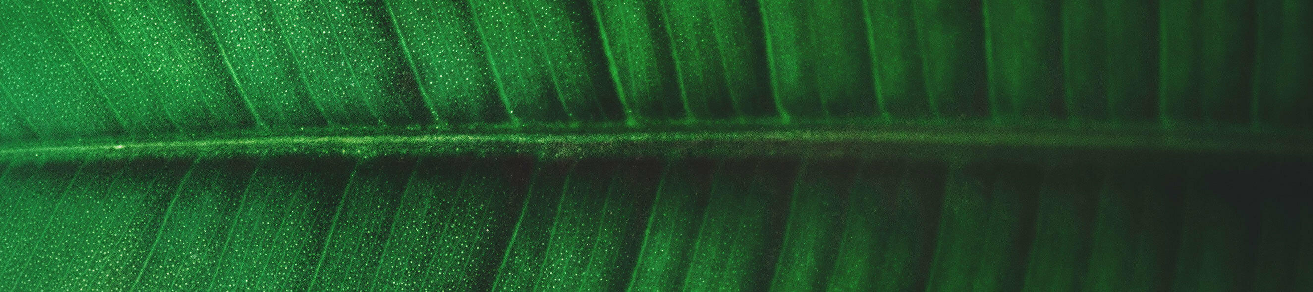 Gardening Best Sellers