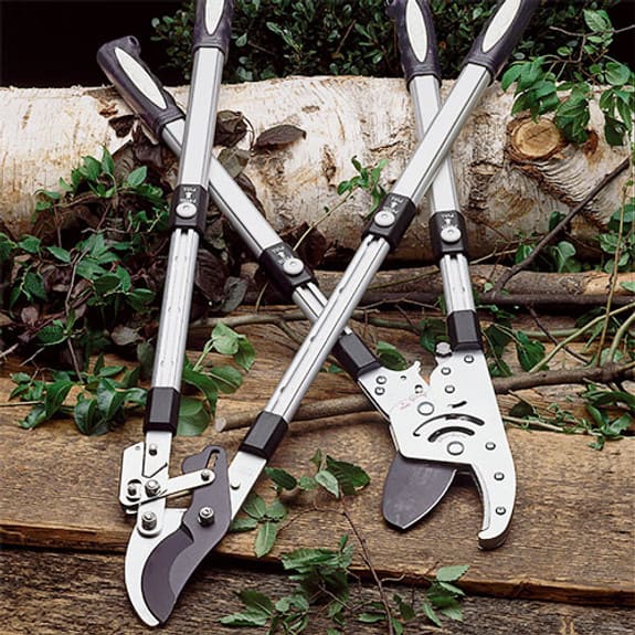 Giveaway Winner: Garrett Wade Saws and Supplies - Gardenista