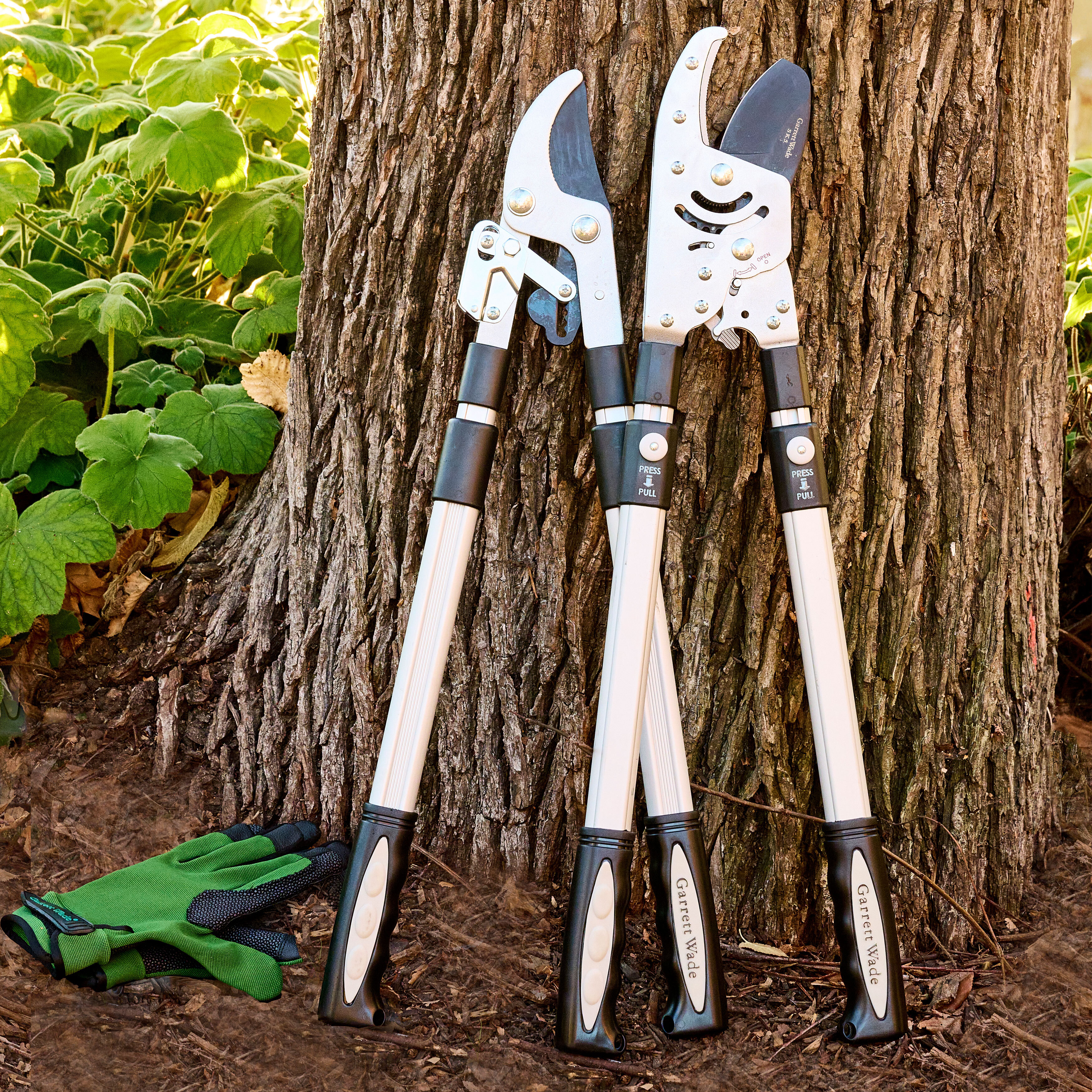 Pruning Tools