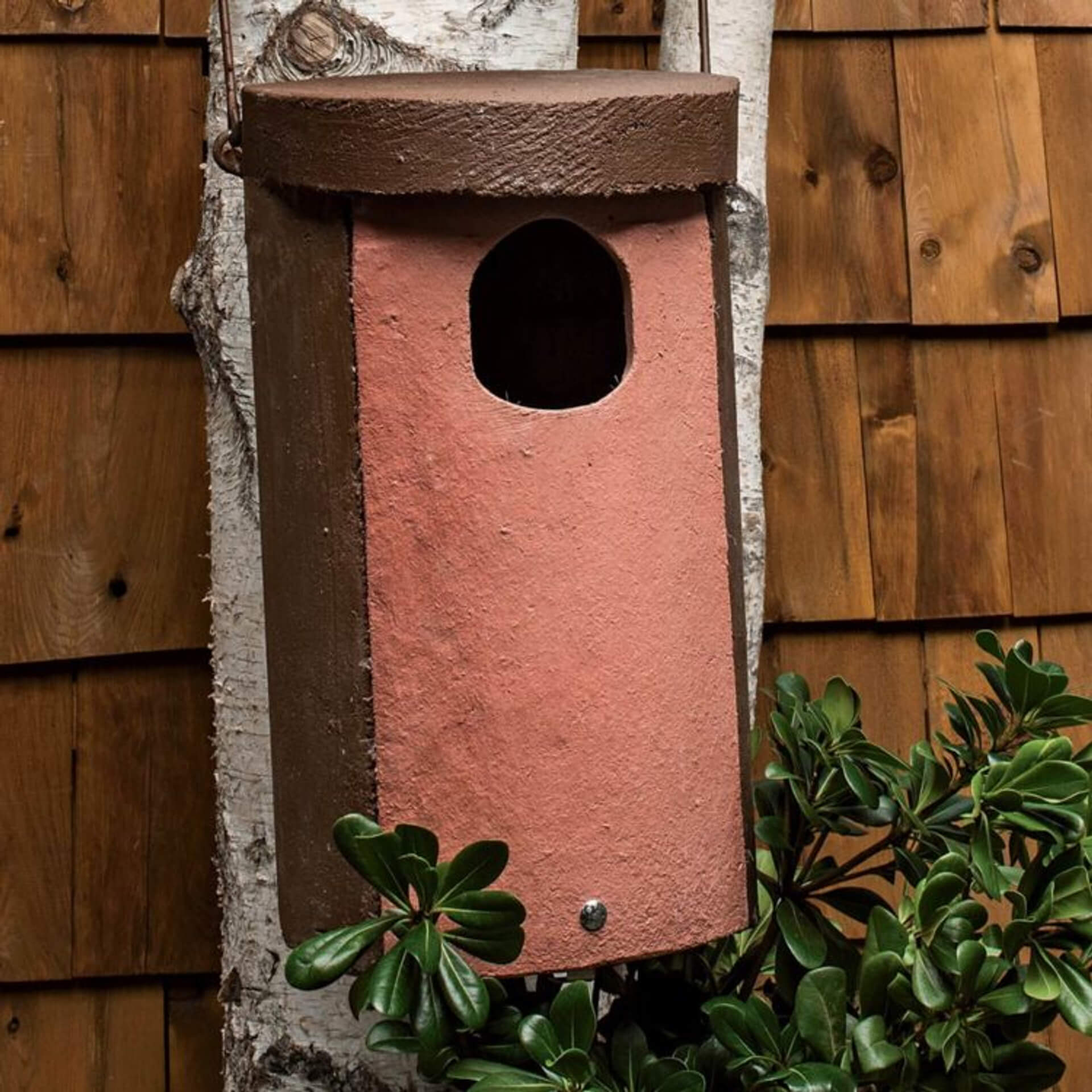 Cylindrical Barn Owl Nest