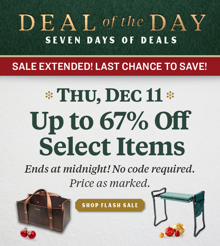 Deal of the Day: 67% Off Flash Sale