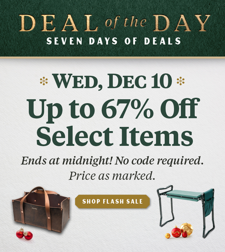 Deal of the Day: 67% Off Flash Sale