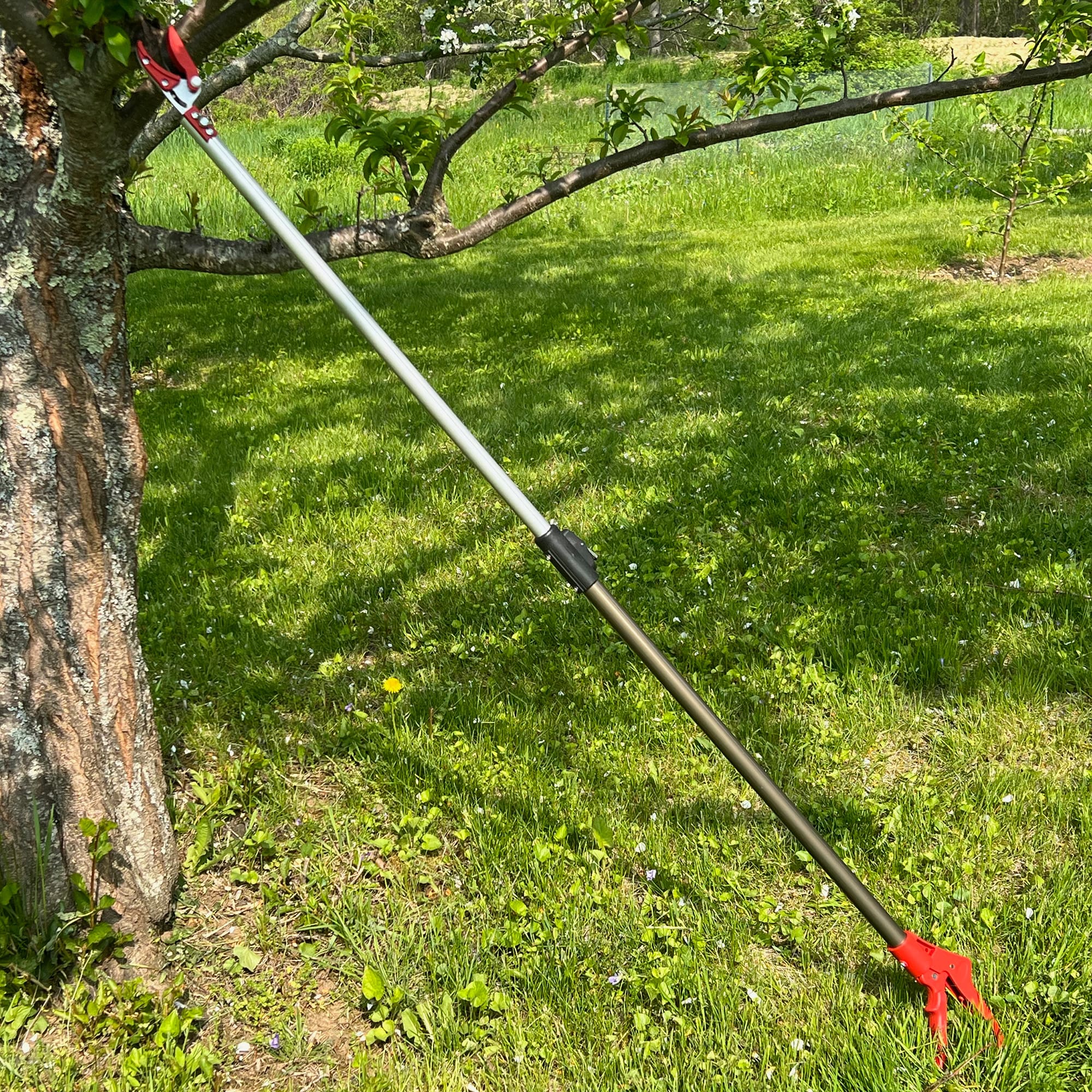 Best long reach secateurs cheap
