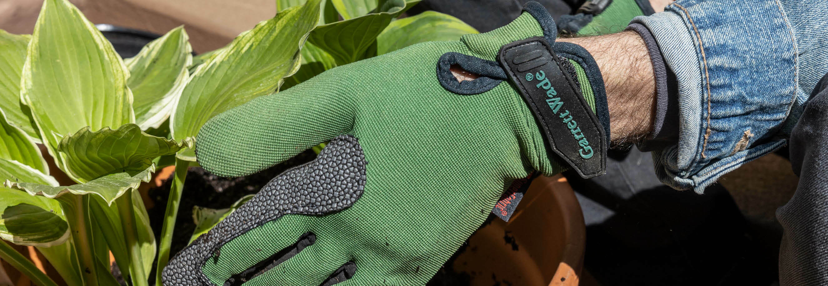 Brownstone Boys Favorites