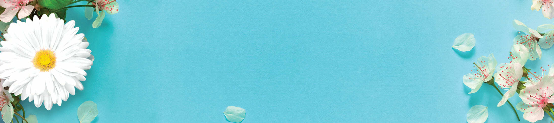 Gifts for the Entertainer