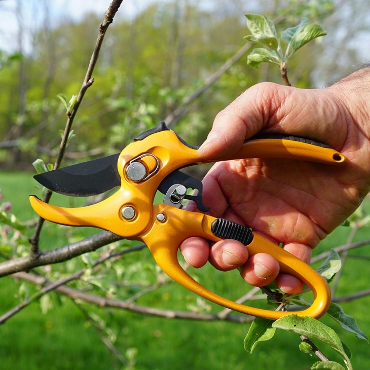 Ratching Hand Pruner