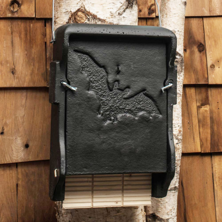 Concrete Bat Nest