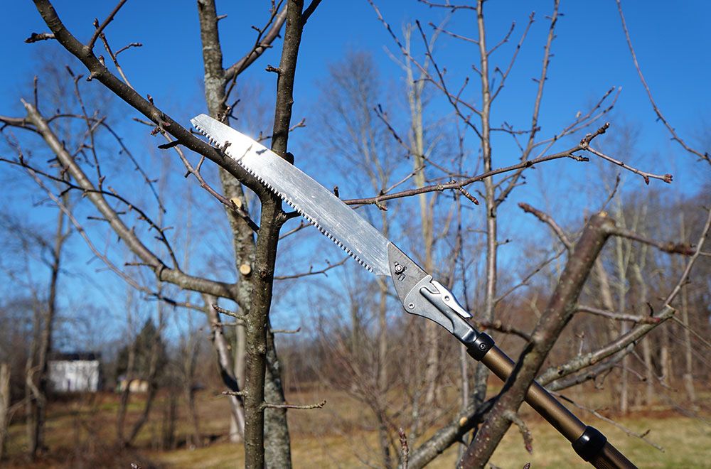 Arborist Folding and Extending Trim saw