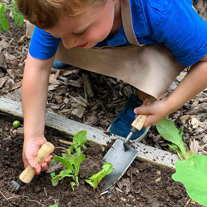 young gardeners