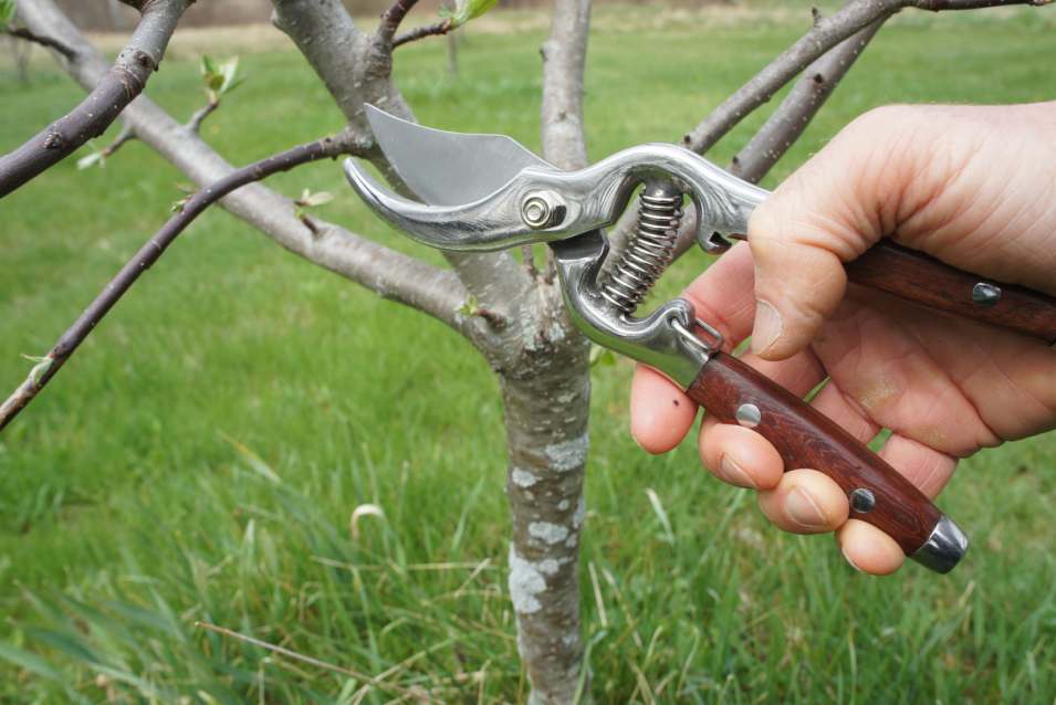 Garrett Wade Ratcheting Hand Pruner