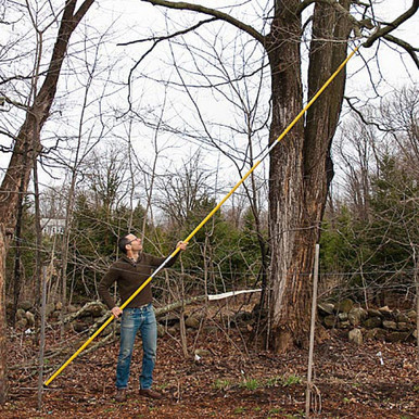 19 Pole Saw for Tree Pruning 15 inch Cutoff Blade