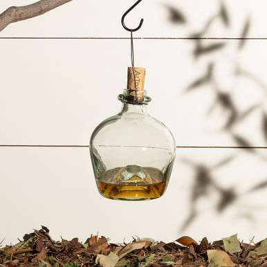 Eco-Friendly Glass Wasp Trap