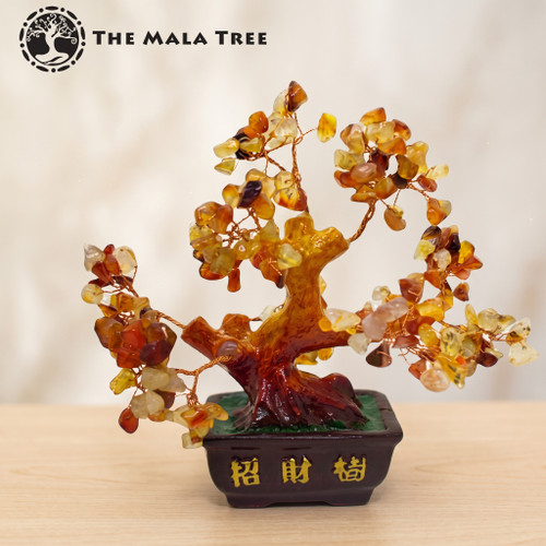 CARNELIAN Money Tree
