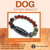 DOG VICTORY Bracelet