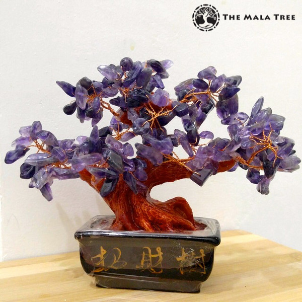 AMETHYST Money Tree