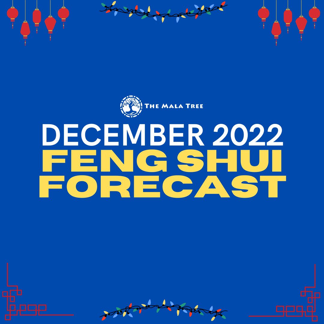 december-2022-feng-shui-forecast-the-mala-tree-best-crystal-shop.jpeg