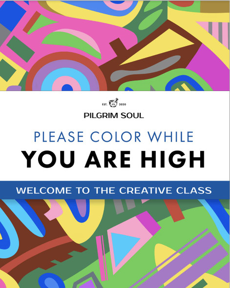 Pilgrim Soul Mood Enhancing Coloring Book Vol. 2