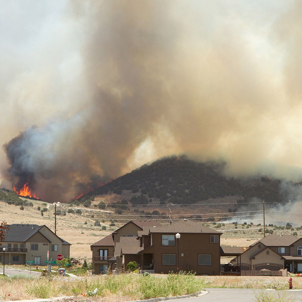 VELUX ZZZ 256 S01 - Fire Screen for Venting Deck Mount Skylight in