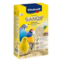 Sandy sabbia per uccelli