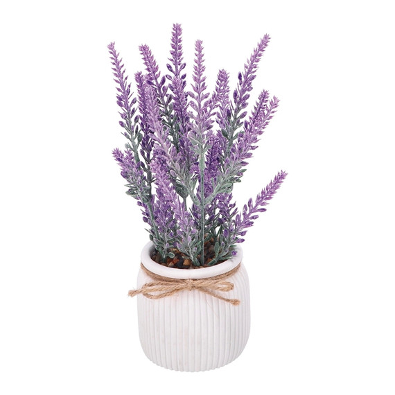 Vaso con Lavanda 1