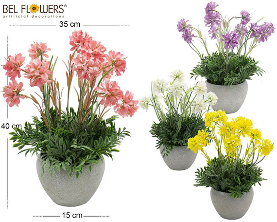 Bel Flowers® Vaso Roccia (Pe) Ambretta E Sambuco H40/D.15-35C