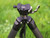 Vipertek CT3 Tripod 1.7m